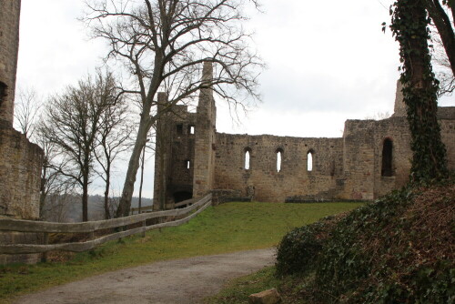 z. B. für die Mopsfledermaus, welche die Höhlen der Ruine als Winterquartier nutzt.

Aufnameort: NSG Homburg, Gemeinde Gössenheim, 27.03.2016
Kamera: Canon EOS 600D 1/60; 7,1; 28,0mm; ISO 100