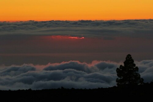 

Aufnameort: teneriffa
