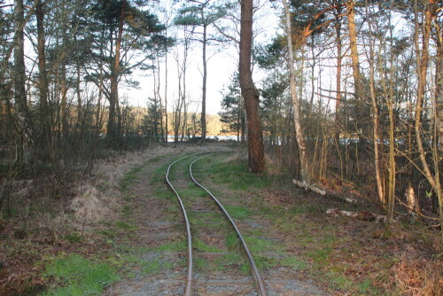 Sie fährt als Touristenattraktion wieder durchs Tister Moor. Unter moorbahn.de kann man die aktuellen Bilder aus dem NSG betrachten.

Aufnameort: Tister Bauernmoor, 17.04.2016
Kamera: Canon EOS 600D 1/100; 5,6; 28,0mm; ISO 400