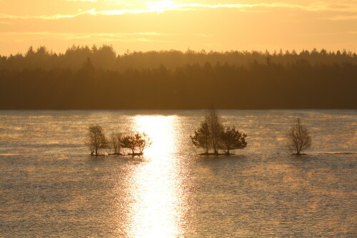 sonnenaufgang-am-tister-moorsee-16850.jpeg