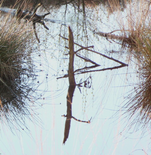 

Aufnameort: Tister Bauernmoor, 17.04.2016
Kamera: Canon EOS 600D 1/160; 5,6; 122,0mm; ISO 640