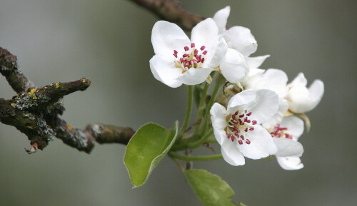 Beim Spaziergang fotografiert

Aufnameort: Unter-Ostern - Odw.
Kamera: Canon 450D