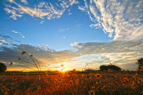 sonnenuntergang-im-wendland-17387.jpeg