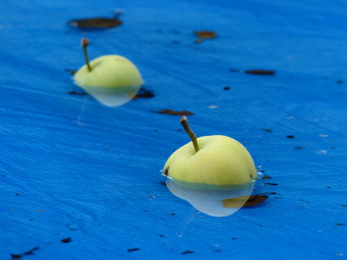 apfel-in-der-blauen-lagune-17571.jpeg