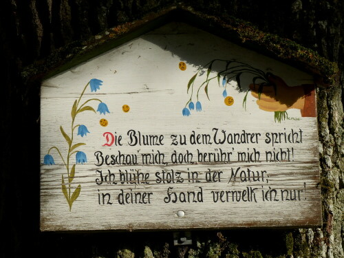 schoner-weiser-spruch-17707.jpeg