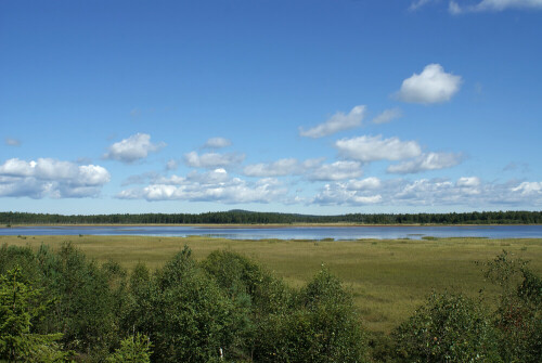 Ein sehr schöner Nationalpark, das Hochmoor Store Mosse.

Aufnameort: Smaland
Kamera: sony