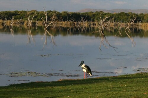 staubereich-kununurra-18317.jpeg