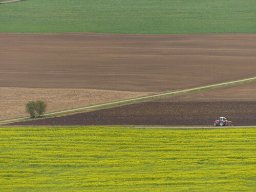 feldbestellung-im-herbst-17918.jpeg