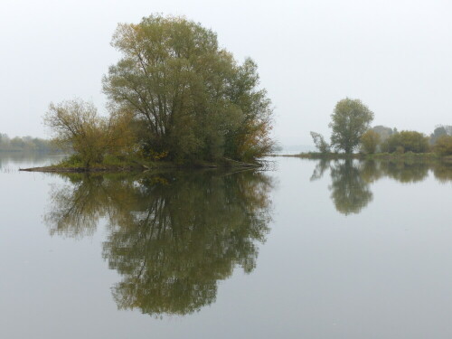 spiegelung-im-altmuhlsee-18039.jpeg