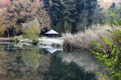 ..am Teich im November

Aufnameort: Fischteich in der Wetterau
Kamera: Nikon D7200