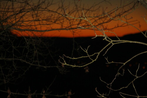 Ein bereits erfolgter Sonnenuntergang lässt den Himmel nochmals rötlich erscheinen.
https://de.wikipedia.org/wiki/Abendrot

Aufnameort: Eiershausen Wacholderheide
Kamera: Canon EOS 700D