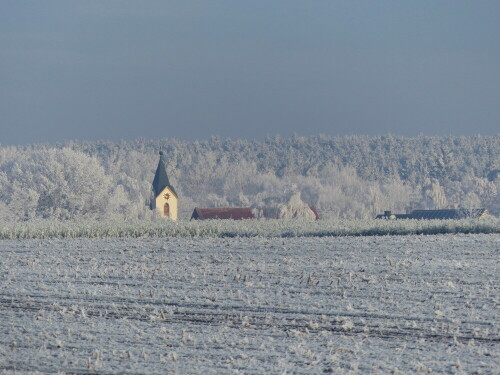 leidendorf-im-marchenraureifwald-18291.jpeg