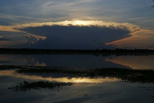 

Aufnameort: austr. kakadu np
