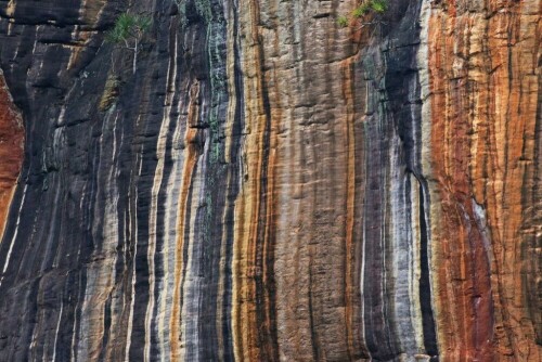 

Aufnameort: austral. kakadu np
