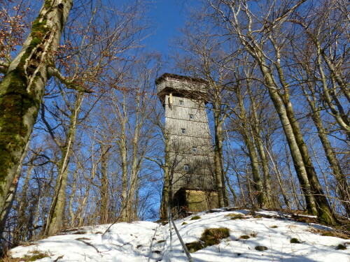 aussichtsturm-am-rauhen-kulm-18498.jpeg