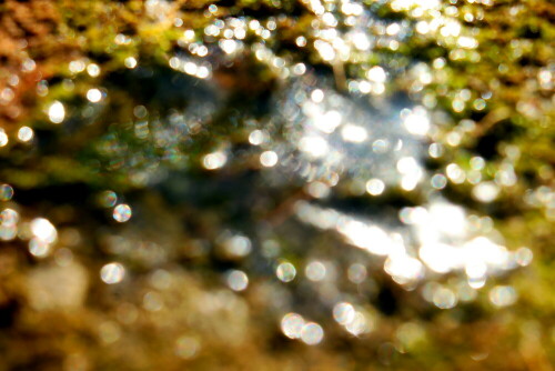 Eine kleine Eisschicht reflektiert Sonnenstrahlen.
(Der Blendenverschluss formt etwas die Strahlenabbildung)
https://de.wikipedia.org/wiki/Eis

Aufnameort: Eiershausen Garten
Kamera: Canon EOS 700D