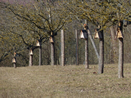 

Aufnameort: Deffersdorf
Kamera: Panasonic Lumix FZ 200