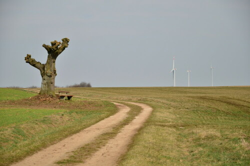 monumente-in-der-natur-mit-und-ohne-flugel-18623.jpeg