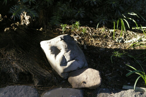 Es ist die Sonne, die der Natur ein Antlitz verleiht...

Aufnameort: Hausgarten des Bildautors
Kamera: Pentax 100D