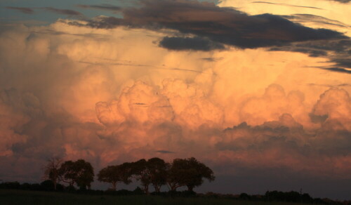 Kurz vorm "Sundowner" fotografiert

Aufnameort: Nkasa Lupala - Namibia
Kamera: Canon 450D