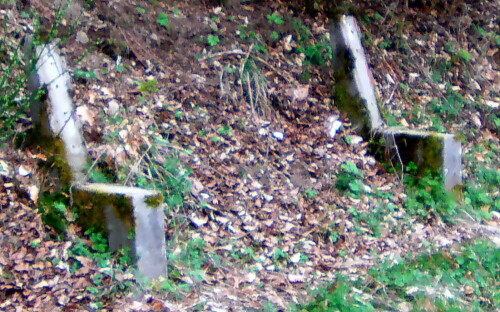 Eine Sitzbank für eine "beschauliche Ruhepause"
(Die Bretter liegen etwa 20 Meter weiter unterhalb im Gebüsch??)
https://de.wikipedia.org/wiki/Bank_(Möbel)

Aufnameort: Hirschbergwald 3. Hirschbergweg
Kamera: Camcorder Medion