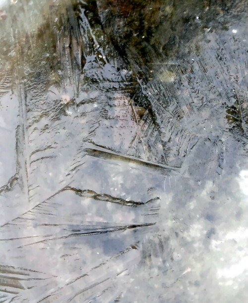 Sobald die Außentemperaturen unter den Gefrierpunkt fallen, kann dies auch zur Eisbildung beitragen.
https://de.wikipedia.org/wiki/Eis

Aufnameort: Eiershausen Garten Wasserauffangbehälter
Kamera: Camcorder Medion