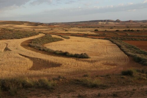 steppe-bei-belchite-19067.jpeg