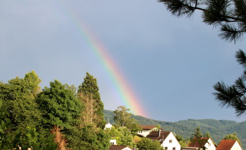 nach-dem-gewitter-18967.jpeg