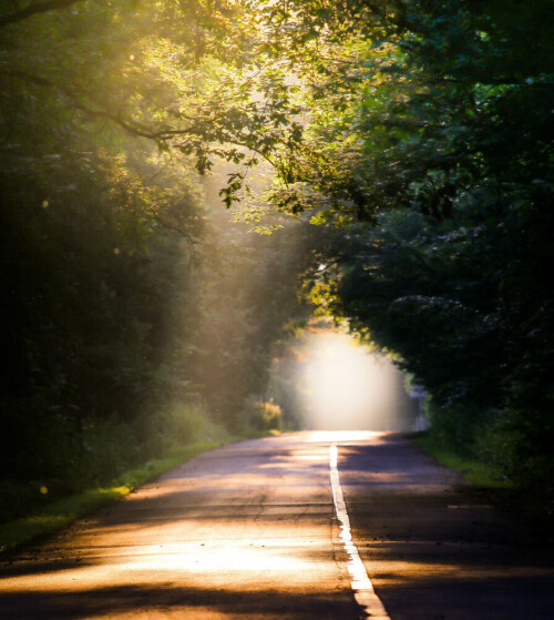 Die aufgehende Sonne im Wald...wunderschönes Lichtspiel

Aufnameort: Wald Hainburg
Kamera: Canon EOS 7D Mark II