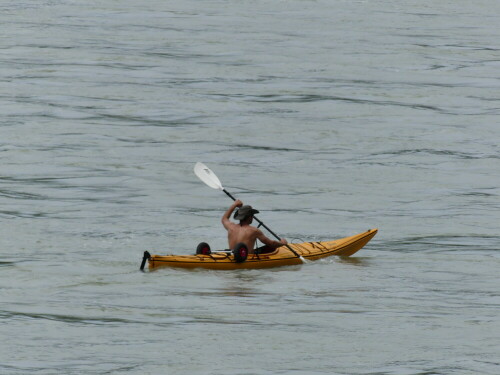 donaupaddler-19352.jpeg