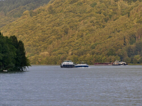 

Aufnameort: Österreich Donau
Kamera: Panasonic Lumix FZ 300