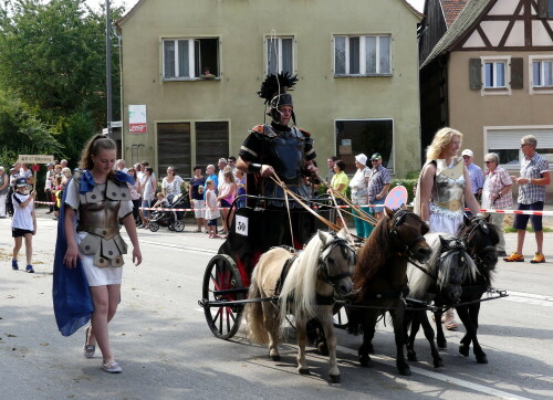 romischer-kampfwagen-mit-mini-shetty-19424.jpeg