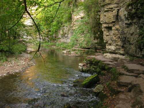 Muschelkalkwände im Schwarzwald: An dieser Stelle der Wutachschlucht tritt die Wutach nach rund einem Kilometer Versinkung wieder ans Tageslicht.

Aufnameort: Wutachschlucht (mittlerer Abschnitt)
