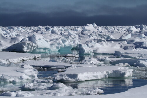 

Aufnameort: Spitzbergen
Kamera: Canon D7