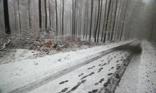 auf-dem-weg-richtung-winter-19816.jpeg