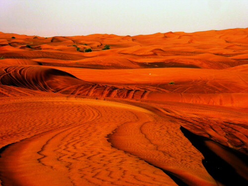 Wüstenlandschaft in Dubai

Aufnameort: Dubai
Kamera: Lumix TZ 61