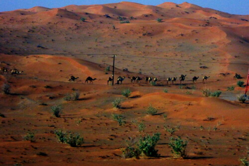 Mit viel Glückist diese Bild aus dem fahrenden Jeep entstanden

Aufnameort: Dubai
Kamera: Lumix TZ 61