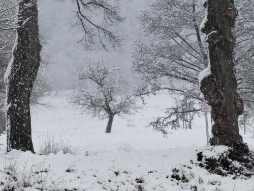 triesdorfer-schneelandschft-19906.jpeg