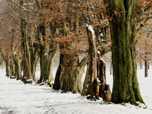 triesdorf-alte-buchenallee-20028.jpeg