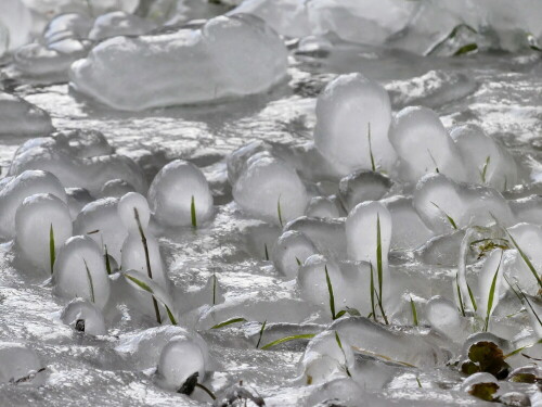 

Aufnameort: Bammersdorf Brunnen
Kamera: Panasonic Lumix FZ 300