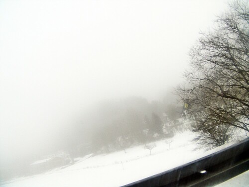 typischer-dunst-nebel-bei-tauw-20291.jpeg