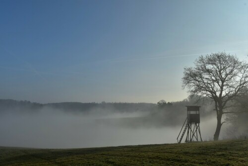 Herbstnebel im "Honigberg"

Aufnameort: Wetterau
Kamera: Nikon D7200