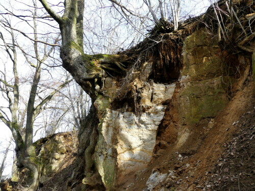 blick-aus-dem-hechlinger-hohlweg-20481.jpeg