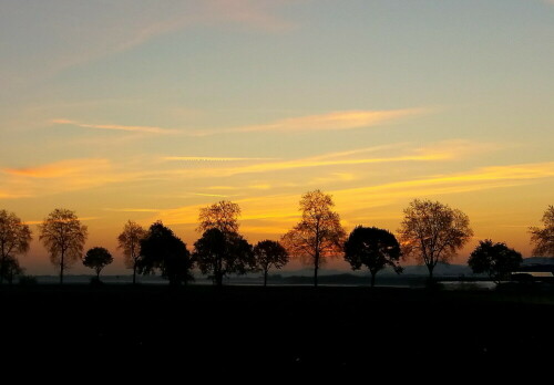 Sonnenaufgang mit Frühnebel über Lichtenau

Aufnameort: Lichtenau Rheinmünster Schwarzwald
Kamera: Kompaktkamera Samsung S7