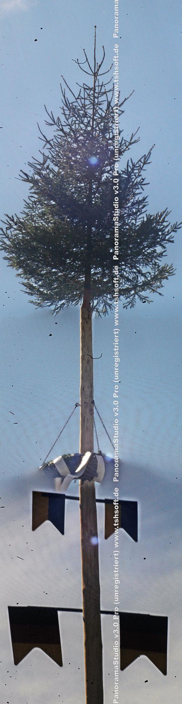 maibaum-zu-eibelshausen-2018-20702.jpeg