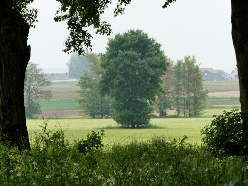 landschaft-im-rahmen-20912.jpeg