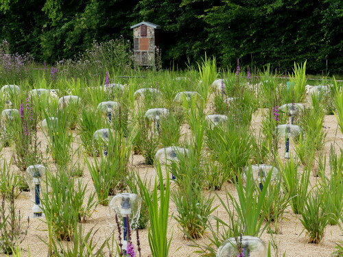 wasserfilterfeld-naturfreibad-merkendorf-20990.jpeg