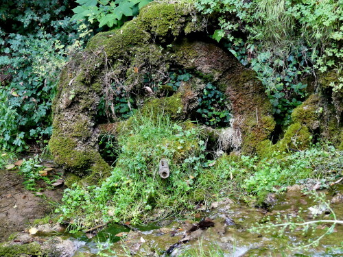 

Aufnameort: Fränkische Schweiz Streitberg
Kamera: Panasonic Lumix FZ 300