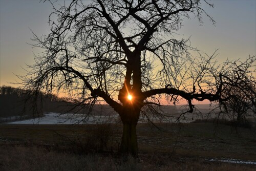 Sonnenuntergang im Febr. in der Wetterau bei Stammheim mit Restschnee im "Lückengrund"

Aufnameort: Wetterau - Stammheim
Kamera: Nikon D7200