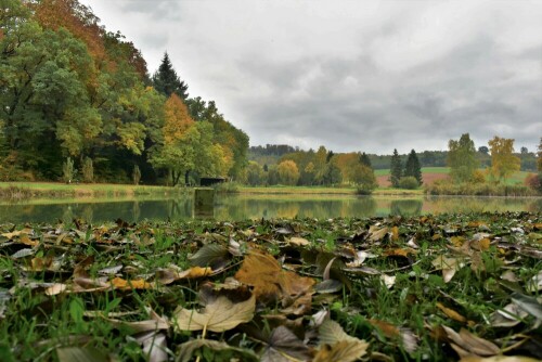 Herbststimmung am Fischteich

Aufnameort: Fischteich Stammheim - Wetterau
Kamera: Nikon D7200